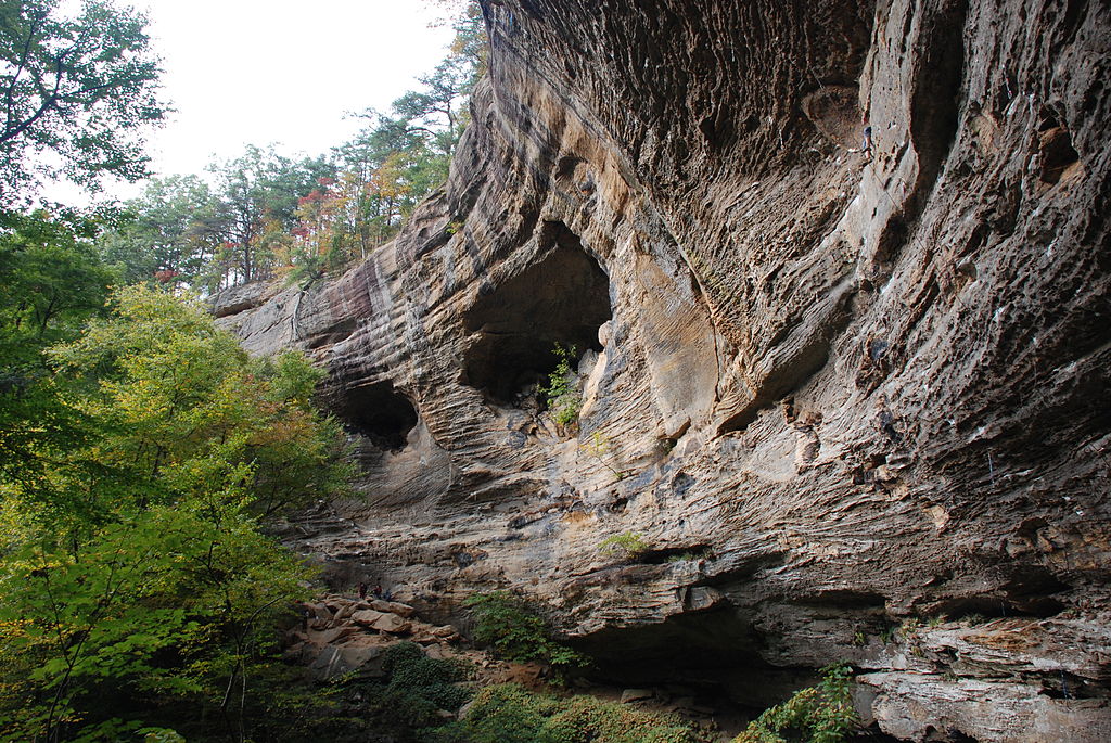 A photograph of Red River Gorge by Jarek Tuszynski. Courtesy of Wikimedia Commons.